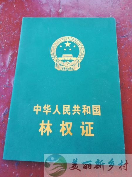 河北省 保定市 涞水县 一渡镇 东庄村闲置宅基地出租