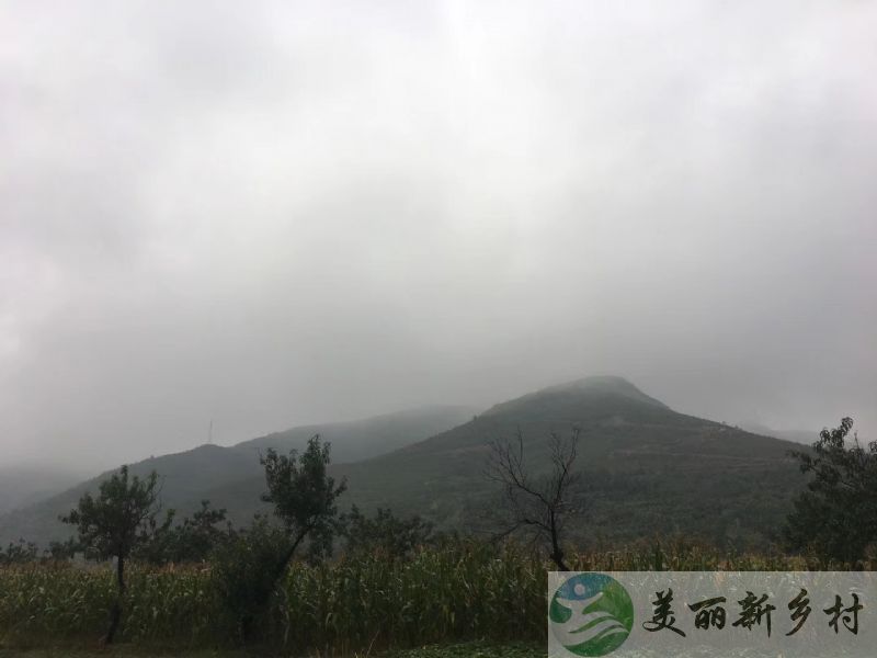 北京市 房山区 青龙湖镇 口头村 山间小院 整体出租