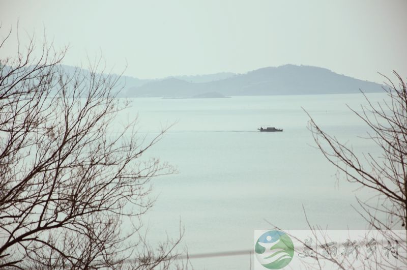 上海后花园太湖边院子出租或转让，适合养老自住或经营民宿