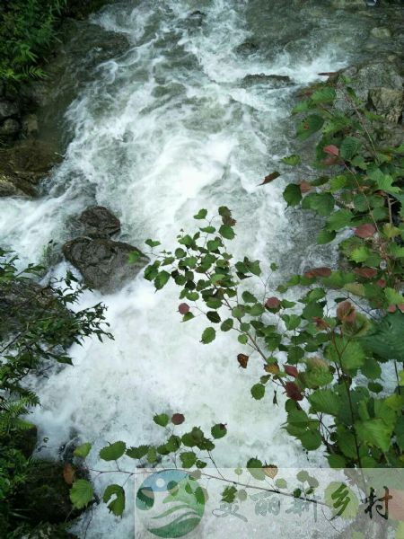 四川成都都江堰虹口休闲度假山庄转让