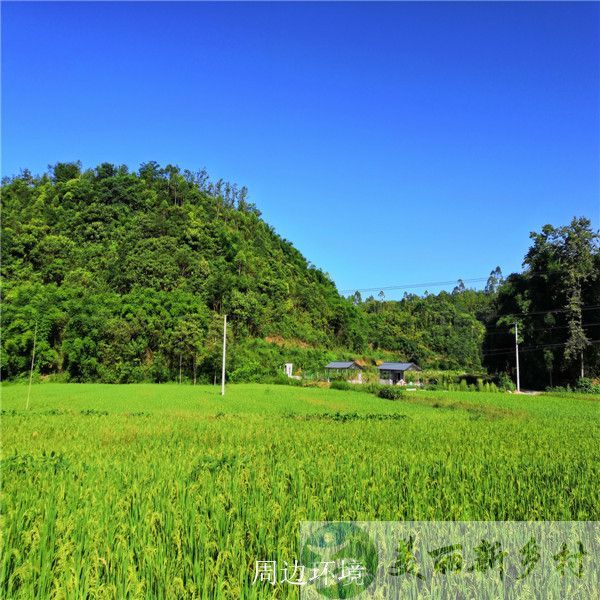 四川崇州鸡鸣谷美丽大院出租