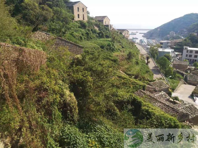 浙江台州温岭石塘花园小屋农房出租