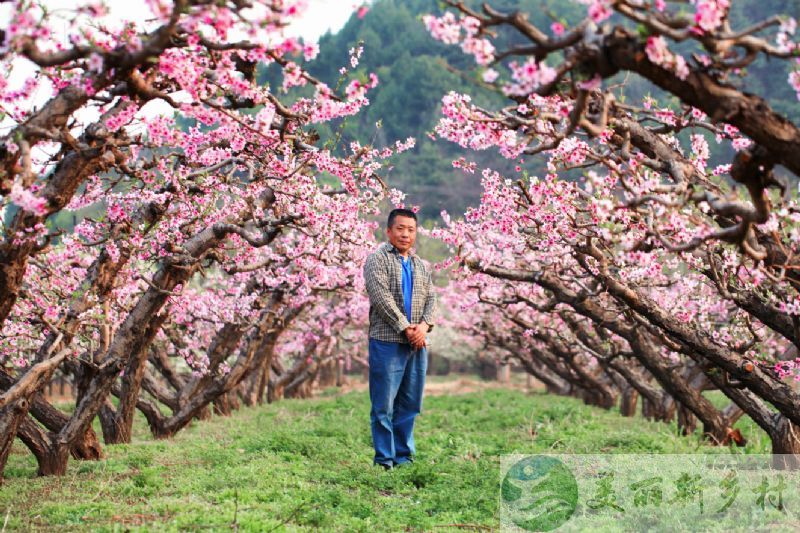 北京市昌平区十三陵金色家园出租