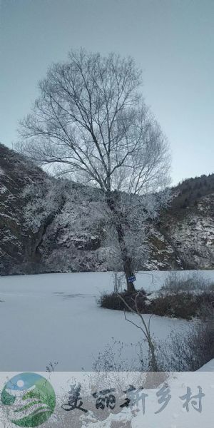 北京市密云区太师屯镇车道峪民房出租