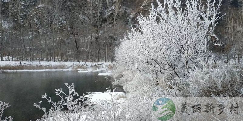 北京市密云区太师屯镇车道峪民房出租