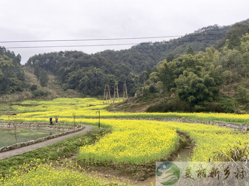 重庆市綦江区隆盛镇农房出租