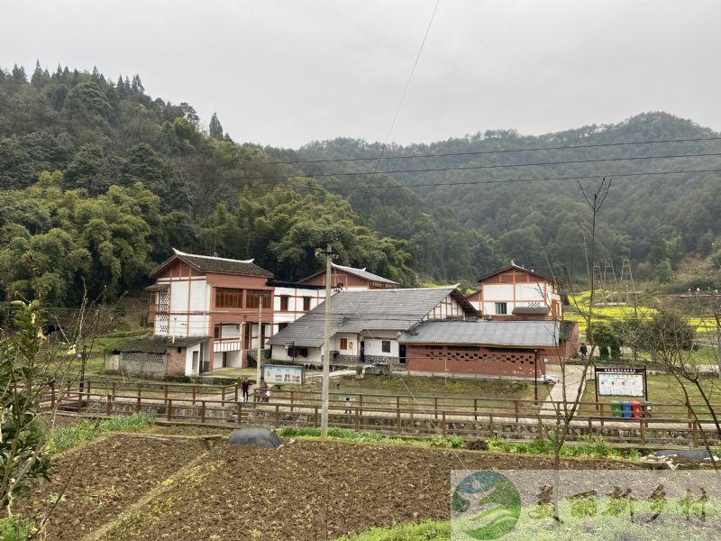 重庆綦江区隆盛镇农村房子出租