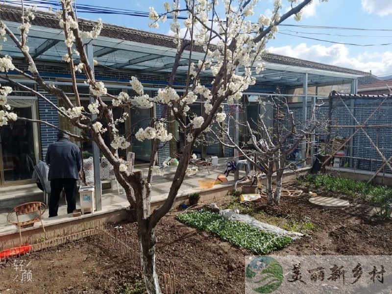 北京市延庆农村院子出租-四季花海整院出租