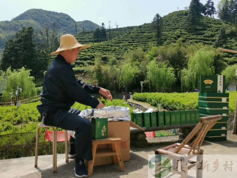 安徽省黄山市黄山区天然氧吧平房出租