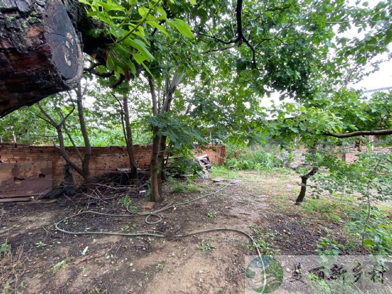 北京市延庆区张山营观山小院