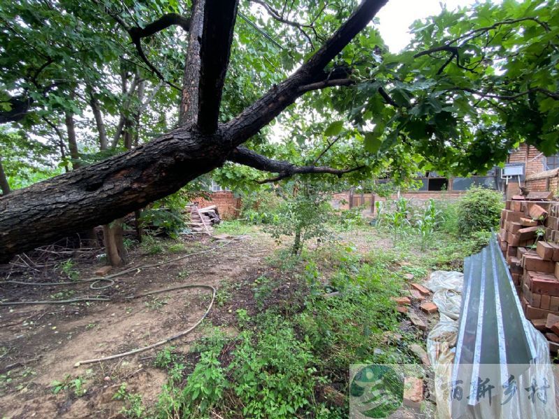 北京市延庆区张山营观山小院