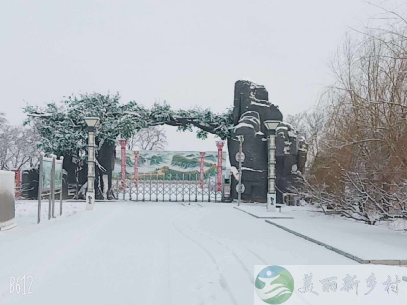 天津市静海区中旺镇鑫泰湖度假村民房出租