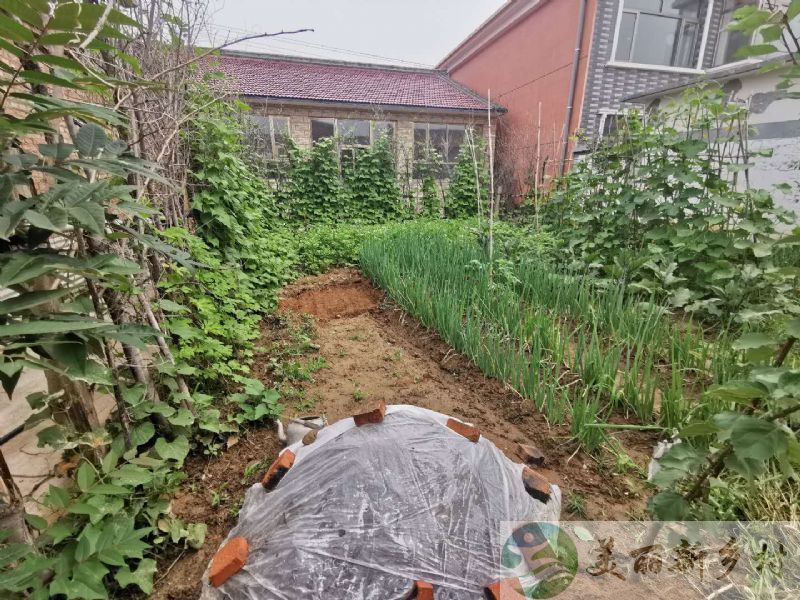 3北京市延庆区康庄镇休闲小院