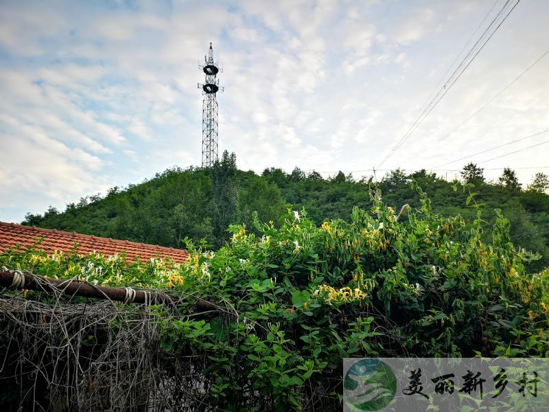 密云太师屯农家院年租12000元，出门见山出院见水