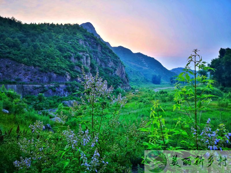 密云太师屯农家院年租12000元，出门见山出院见水