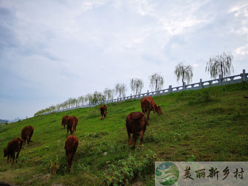 陕西省汉中市圣水镇翰庭别院出租