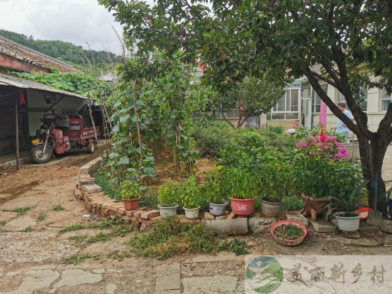 北京市延庆区珍珠泉花海世界花坛大院子出租