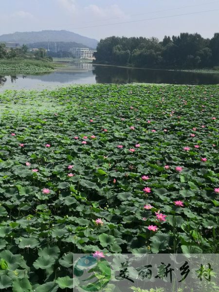 北京市怀柔区红螺镇村农房出租