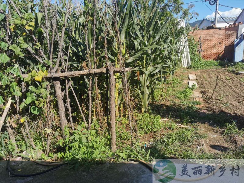 北京延庆农村院子出租-香营四面环山景大院