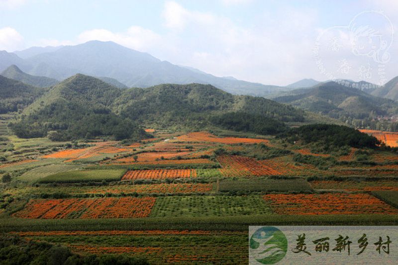 北京市延庆区四海镇菜食河村13号出租