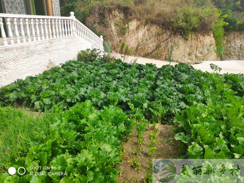 保定易县易水湖畔整院7间房出租享受易水湖清新空气