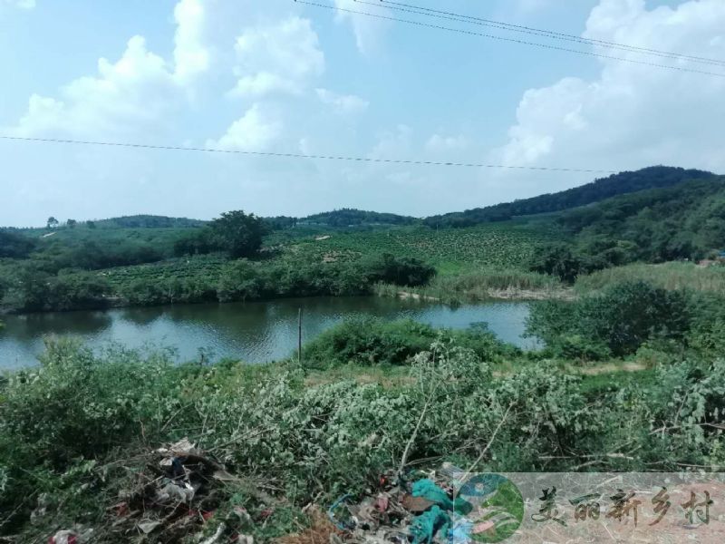 江苏南京江宁区茶场全景房出租