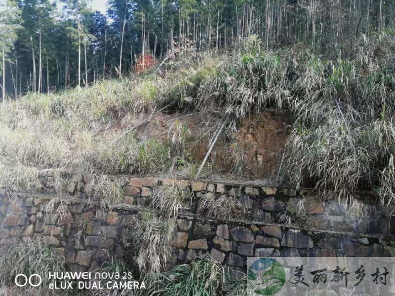 江西南昌湾里风景区独栋三层别墅租赁