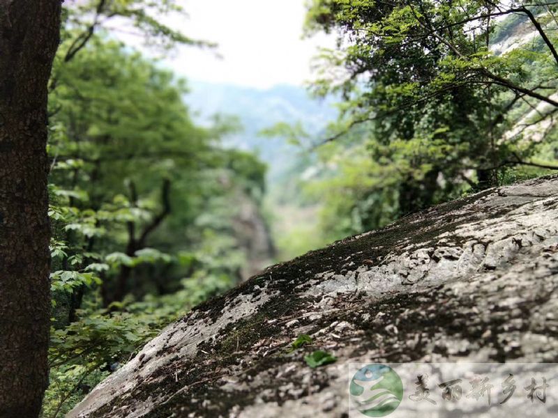 陕西西安农村院子出租-长安区翠华山山脚院子出租