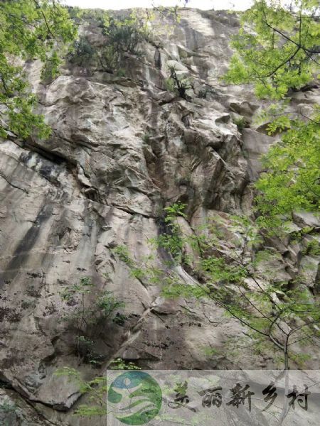 陕西西安农村院子出租-长安区翠华山山脚院子出租