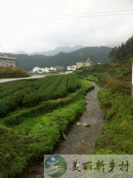 湖南省长沙市避暑胜地旅游小镇二层楼房出租