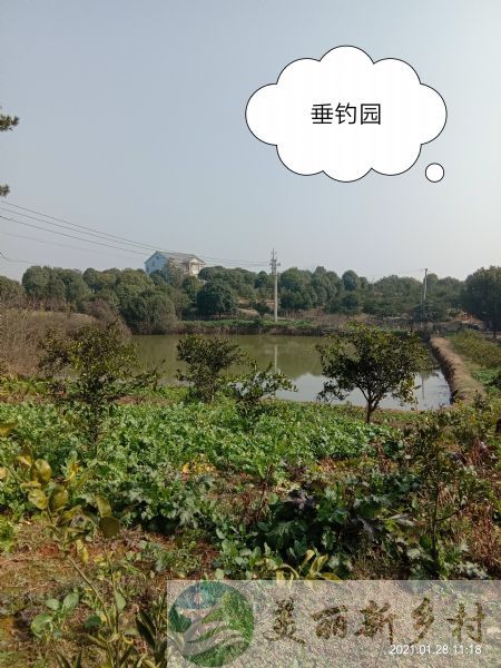 湖北省松滋市磨盘洲镇丘陵景区附近民房出租