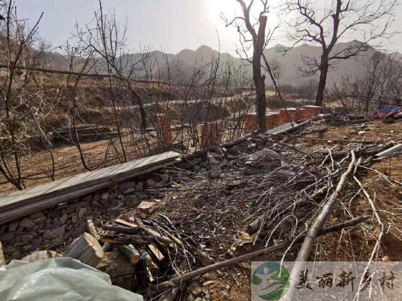 北京延庆四季花海安静山区小土狗新房出租