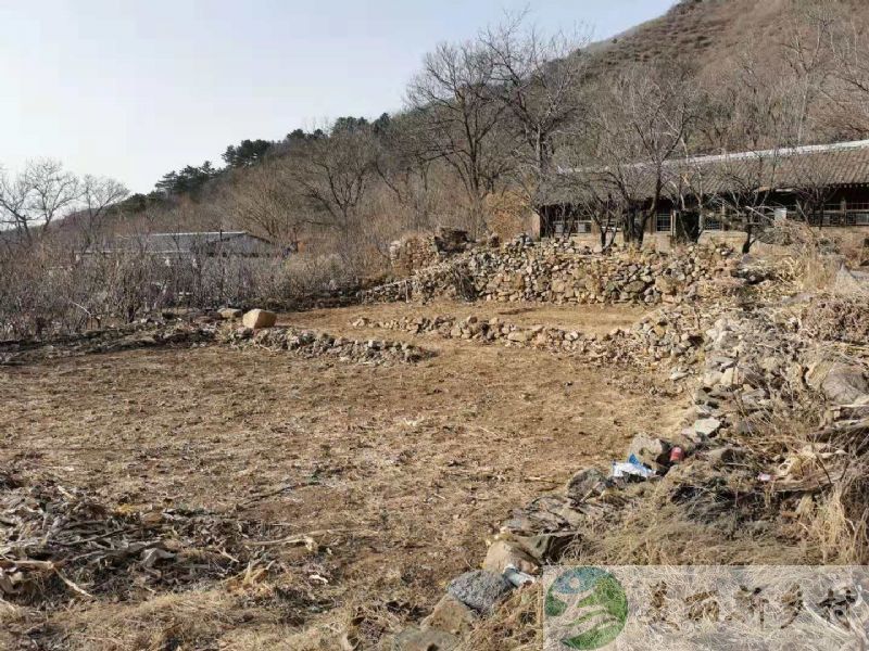 北京延庆农村院子出租-四季花海独一处老房出租