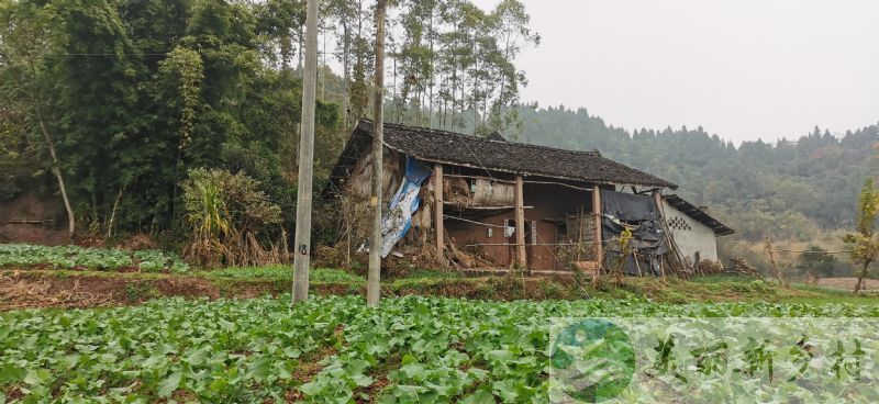 四川省德阳市中江县永丰乡保和村11组农村宅基地房子出租