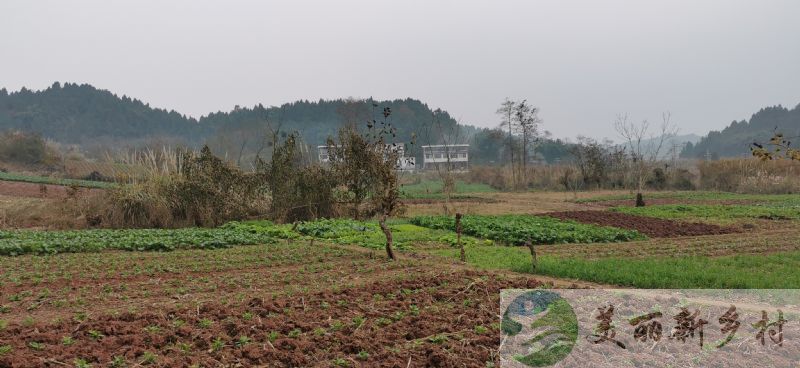 四川省德阳市中江县永丰乡保和村11组农村宅基地房子出租