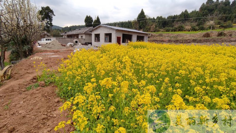 四川省广元市利州区龙潭乡院子出租