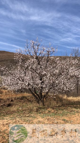 河北唐山丰润区民房出租