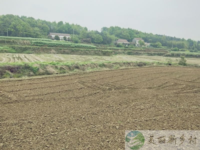 湖南省常德农村房子出租-津市市灵泉镇龙山村农家住宅出租