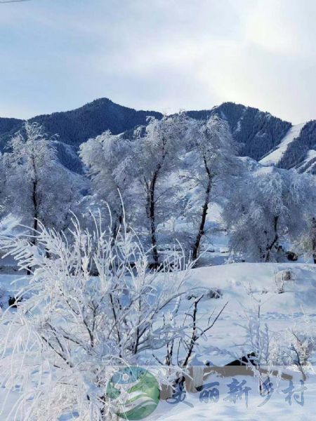 新疆天山脚下原始森林游牧山区农村闲置农房平房屋整套出租