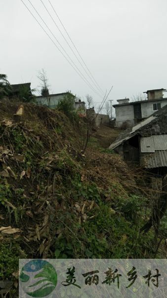 贵州省遵义市务川县泥高镇镇江村乡村房屋出租附土地