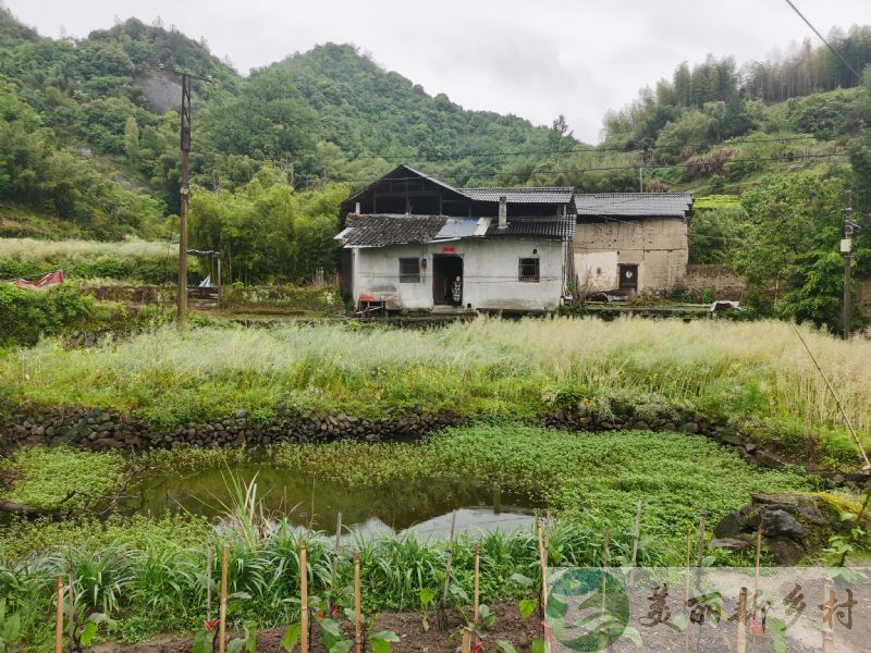 浙江省丽水市遂昌县半隐士村 可整村租 独门独院 原始村落 可独栋