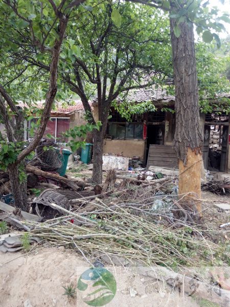 山西大同灵丘红石塄乡觉山村农村房子出租