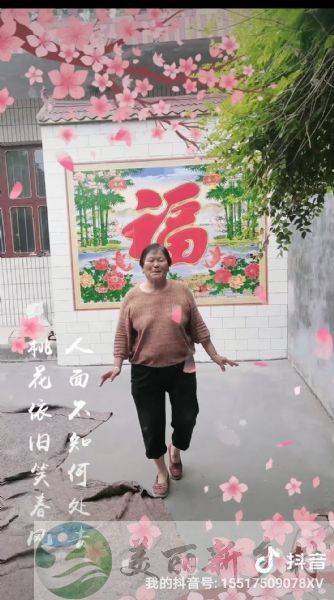 河南三门峡市阳平镇农家小院出租