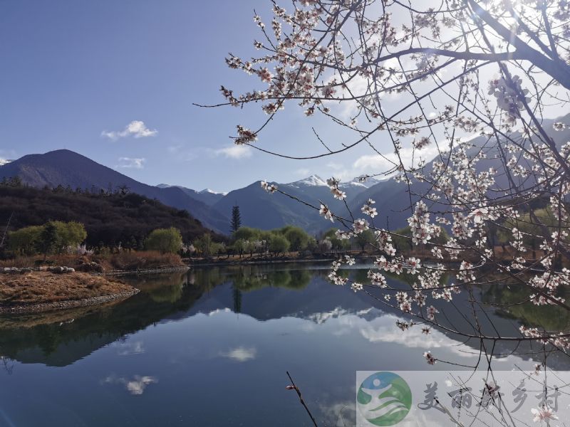 西藏林芝民宿转让出租