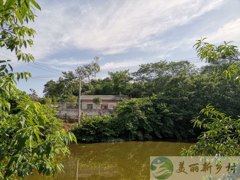 重庆市合川区太和镇自家农村房屋出租，通电，可通网，吃井水。