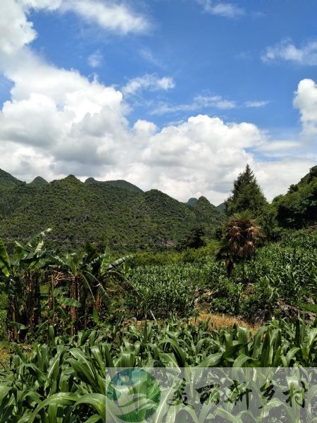 贵州兴义万峰林景区山景房出租