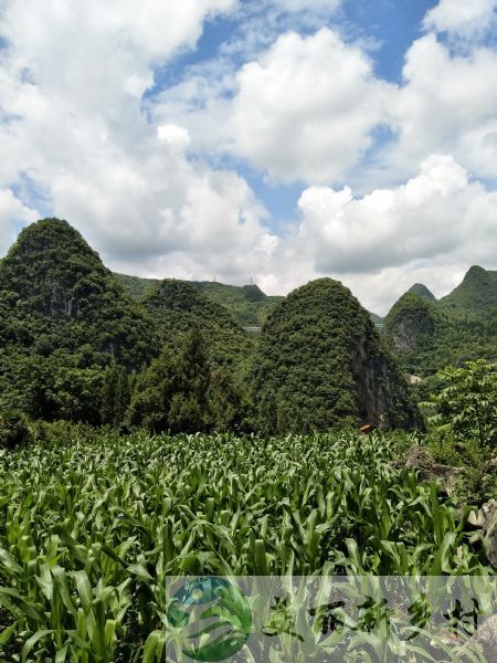 贵州兴义万峰林景区山景房出租