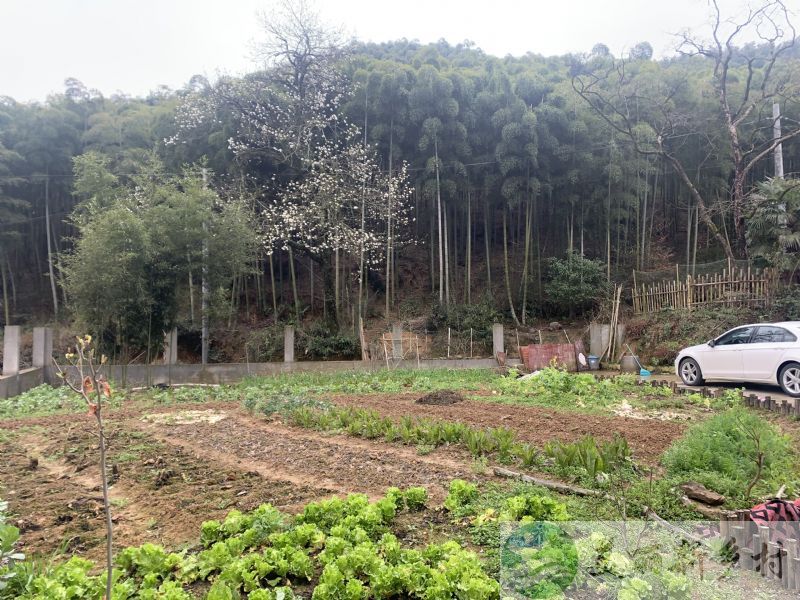 浙江湖州德清县舞阳街道双燕村农墅出租