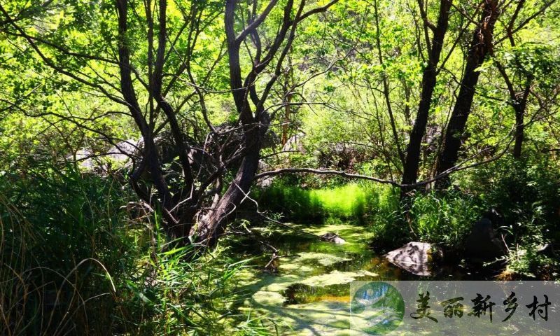 北京门头区岭角村独立二层农村房子出租