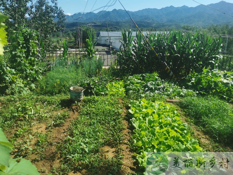 北京市密云区北庄镇华盛路10号